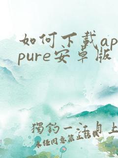 如何下载apkpure安卓版