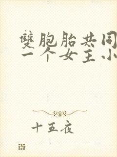 双胞胎共同享有一个女主小说