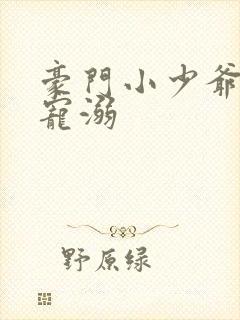 豪门小少爷受被宠溺