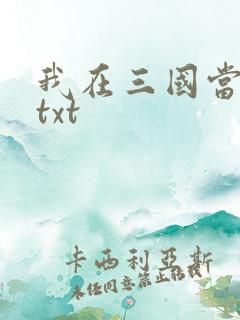 我在三国当皇帝txt