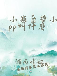 小米自带小说app叫什么