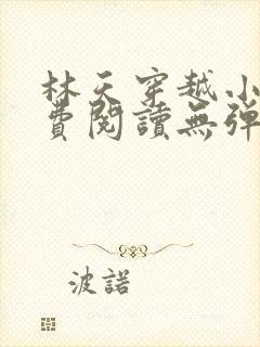 林天穿越小说免费阅读无弹窗