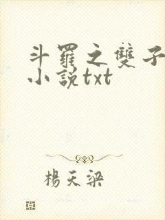 斗罗之双子斗罗小说txt