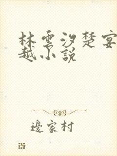 林云汐楚宴晔穿越小说