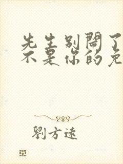 先生别闹了新娘不是你的免费观看大结局