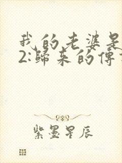 我的老婆是大佬2:归来的传说