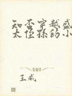 知否穿越盛老太太侄孙的小说