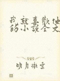 我就喜欢他那样的小说全文免费阅读