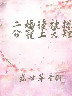 二婚后被总裁老公宠上天短剧