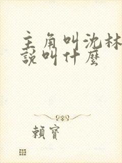 主角叫沈林的小说叫什么