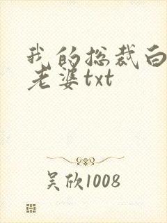 我的总裁白富美老婆txt