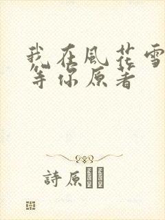 我在风花雪月里等你原著