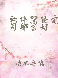 软件开发定制公司那家好