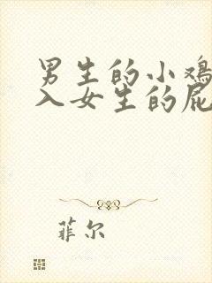 男生的小鸡鸡插入女生的屁股视频