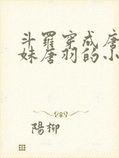 斗罗穿成唐三亲妹唐羽的小说