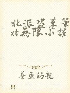 北派盗墓笔记txt无限小说