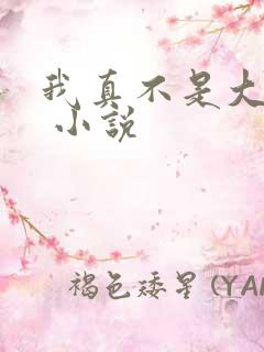 我真不是大反派 小说