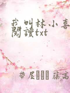 我叫林小喜免费阅读txt