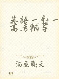 英语一对一在线高考辅导