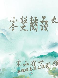 小说极品太子爷全文阅读