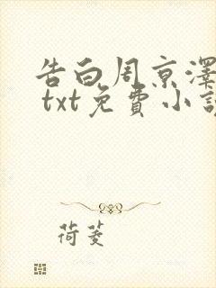 告白周京泽许随 txt免费小说