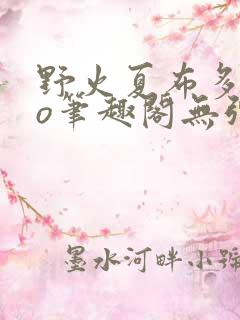 野火夏布多昂po笔趣阁无弹窗