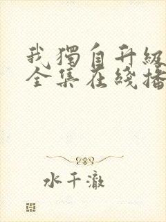 我独自升级动漫全集在线播放