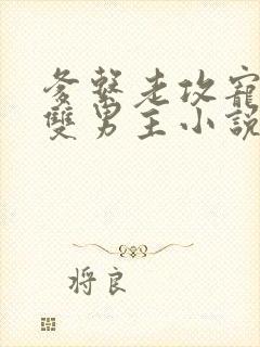 爹系老攻宠溺的双男主小说