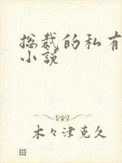 总裁的私有宝贝小说