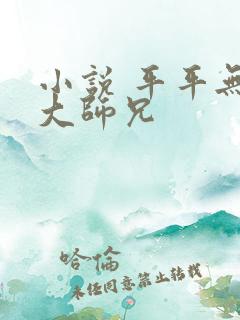 小说 平平无奇大师兄