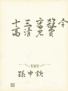 十三密杀令国语高清免费