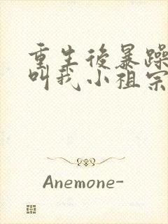 重生后暴躁大佬叫我小祖宗小