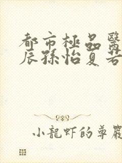 都市极品医神叶辰孙怡夏若雪