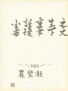 小说重生之将门毒后笔下文学