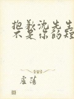 抱歉沈先生孩子不是你的短剧免费版