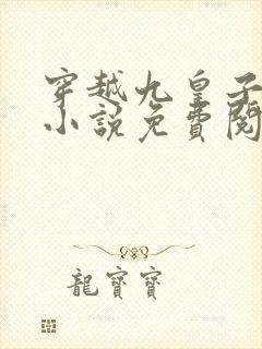 穿越九皇子夏天小说免费阅读