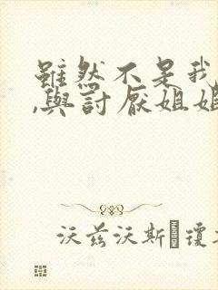 虽然不是我的菜,与讨厌姐姐的超契合