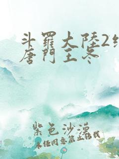 斗罗大陆2绝世唐门王冬