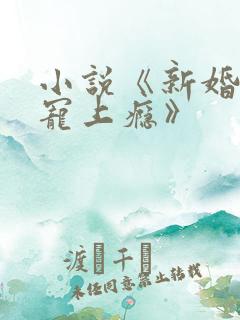 小说《新婚娇妻宠上瘾》