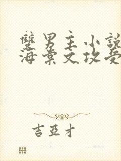 双男主小说高干海棠文攻受