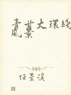 青甘大环线沿途风景