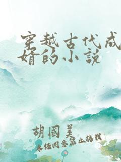 穿越古代成为赘婿的小说