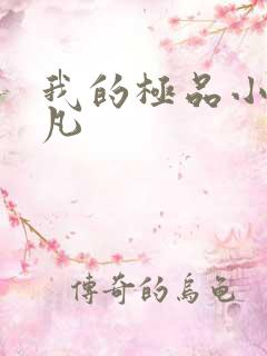 我的极品小姨叶凡