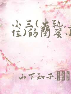 小三(出轨,上位)的闺蜜小说