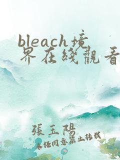 bleach境界在线观看高清免费
