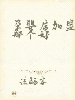 孕婴店加盟品牌哪个好