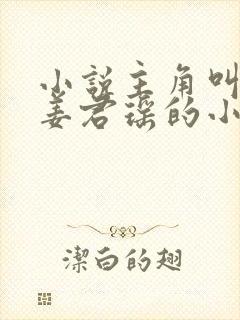 小说主角叫叶楚姜君瑶的小说