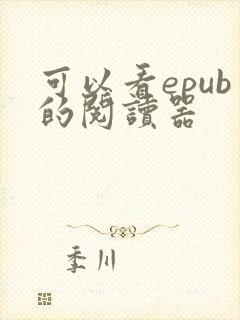 可以看epub的阅读器