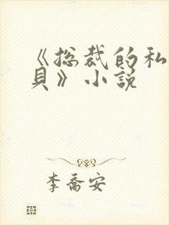 《总裁的私有宝贝》小说