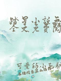 踏星小说无弹窗全文免费阅读